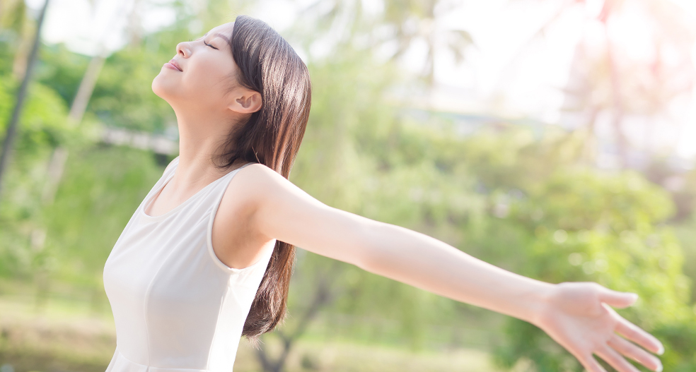 おいしい空気の吸える家が実現します