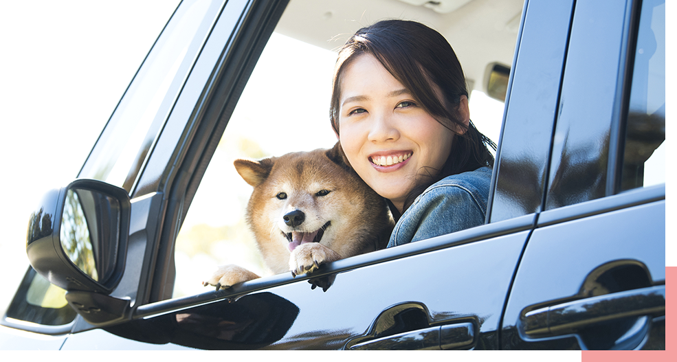 空気がこもってニオイが残りやすい車の中も、スッキリ心地よく。